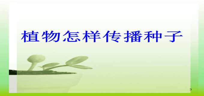 介绍3种种子的传播的方法