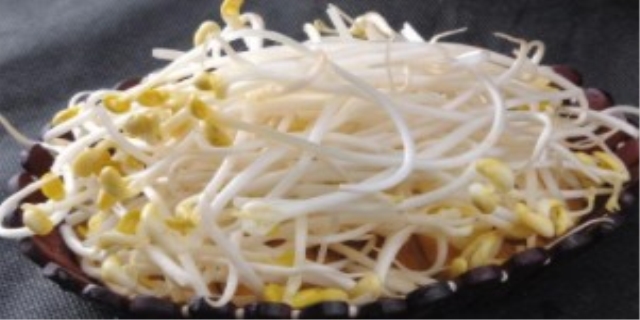黄豆芽的功效与作用