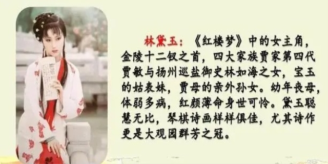 红楼春趣的主要内容是什么