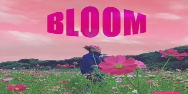 bloom什么意思