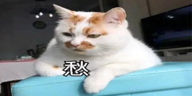 奔现什么意思是什么