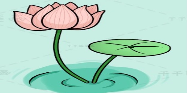 荷花简笔画怎么画