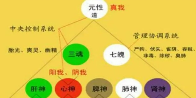 三魂七魄是哪三魂哪七魄