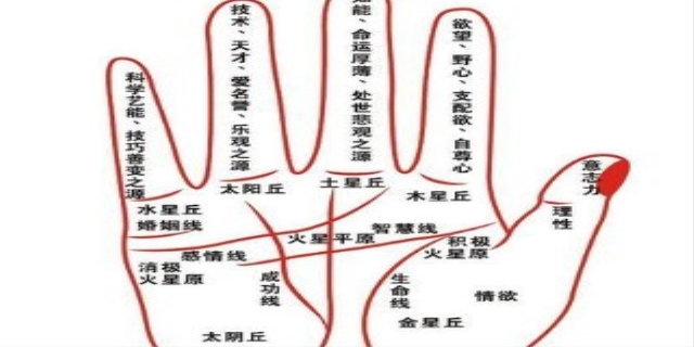 如何看手纹识手相