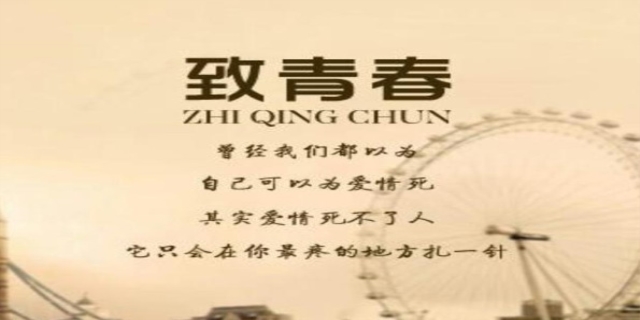 感慨逝去的青春的句子