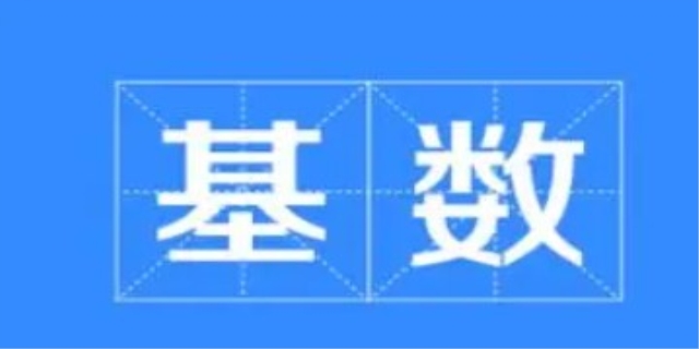 大基数是什么意思