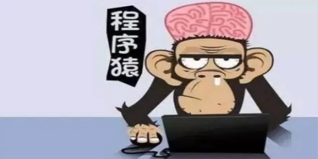 码农是什么意思