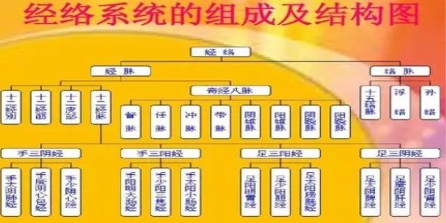 经络系统是什么