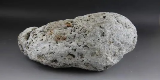 龙涎香是什么东西