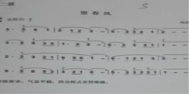 葫芦丝演奏100首曲子有哪些