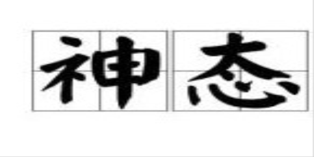 神态是什么意思