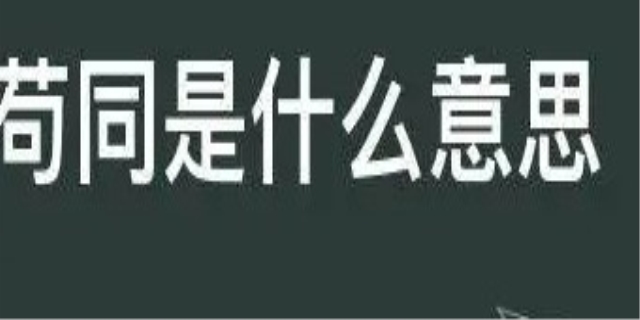 苟同是什么意思