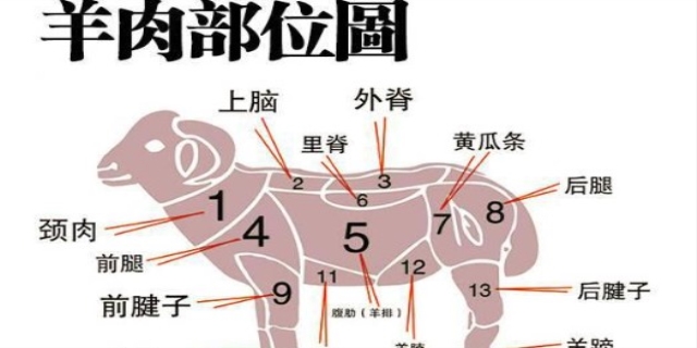 羊球是什么部位