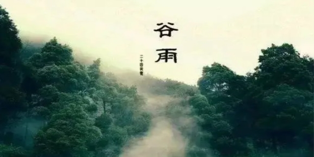 阐述的意思是什么