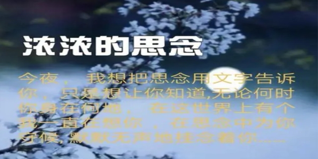 极度思念一个人的诗句