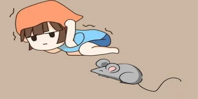 老鼠会攻击熟睡的人吗