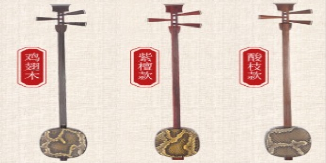 弹拨乐器有哪几种