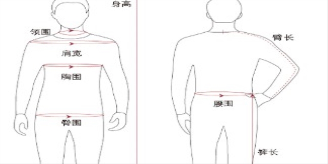 三围是哪三围怎么测量