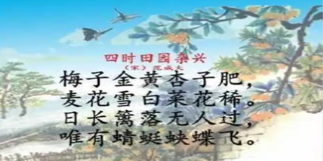 梅子金黄杏子肥的全诗
