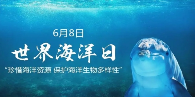 世界海洋日是几月几号