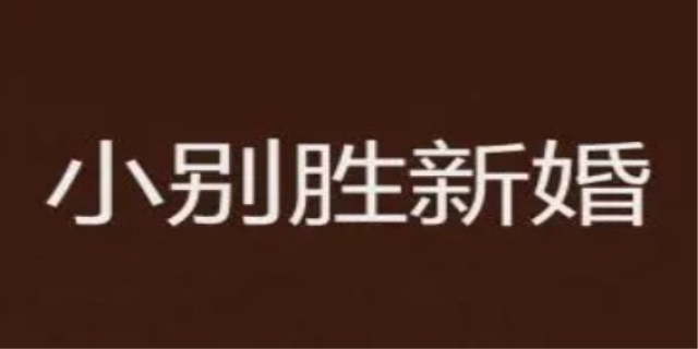 小别胜新婚是什么意思