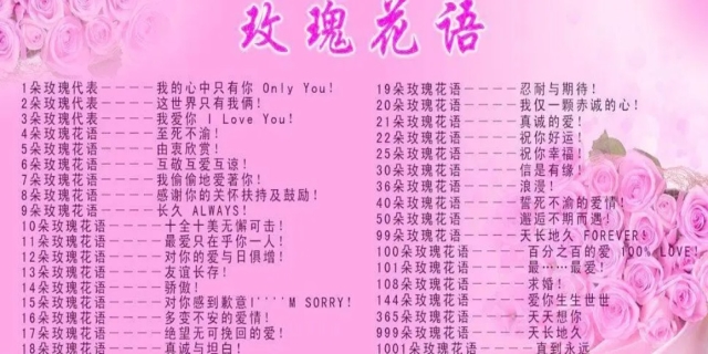 玫瑰花语1到100