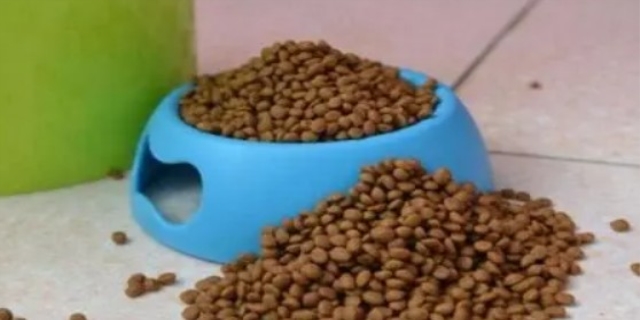 吃狗粮是什么意思