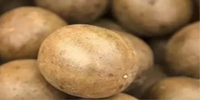 5种人不能吃罗汉果是什么