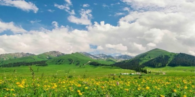 那拉提草原旅游攻略是什么