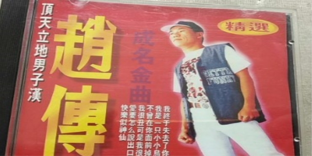 赵传经典歌曲十首是什么