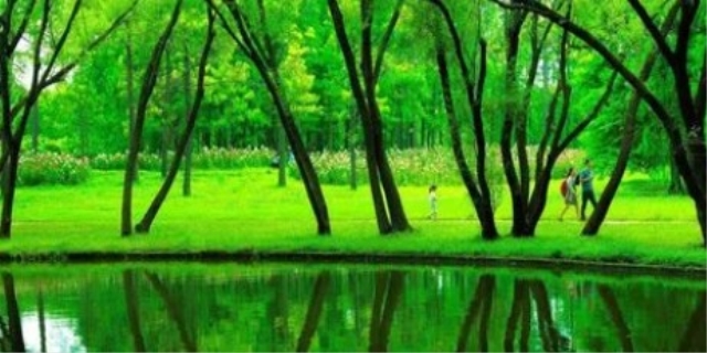 绿意盎然的意思是什么