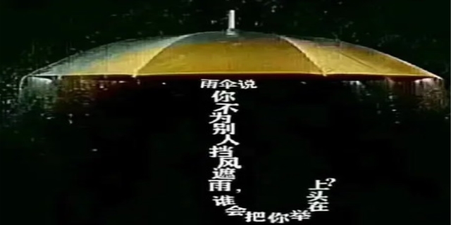东山再起你是谁前一句