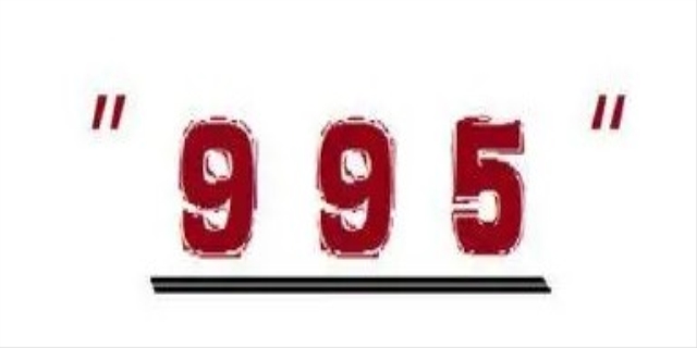995是什么意思