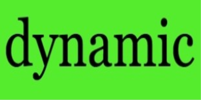 dynamic是什么意思