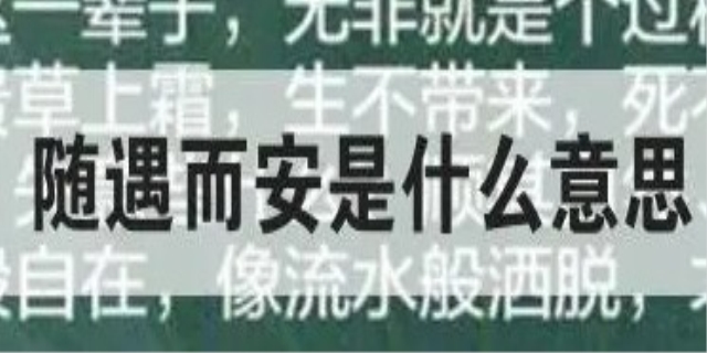随遇而安下一句是什么