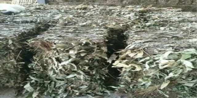 药材种植包回收介绍了