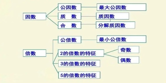 因数和倍数的概念