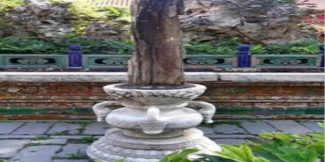 不属于故宫御花园的三奇石