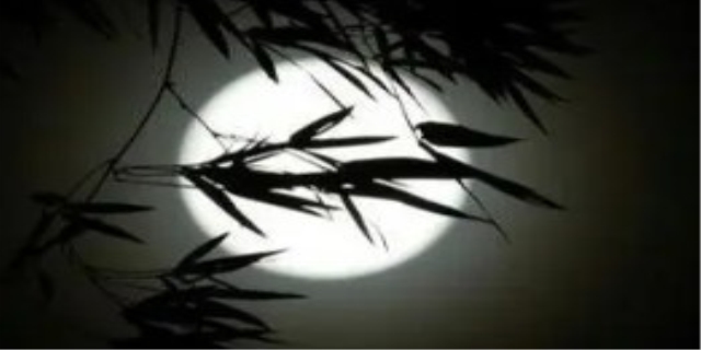 皎洁的意思是什么