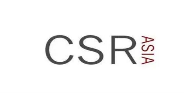 csr是什么意思啊