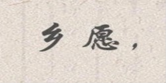 乡愿是什么