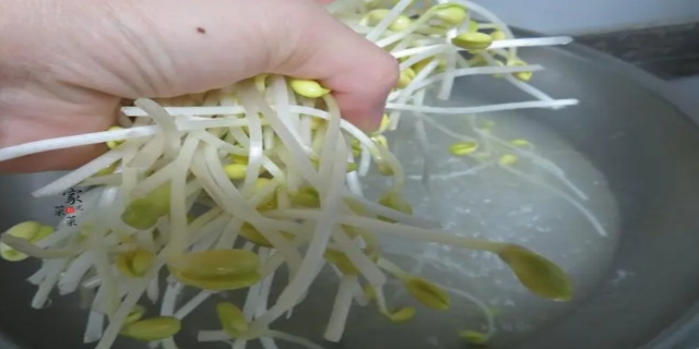 豆芽煮几分钟熟
