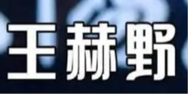王赫野是谁