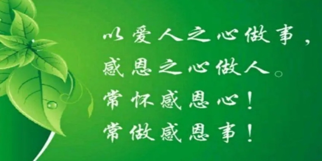教养是什么意思