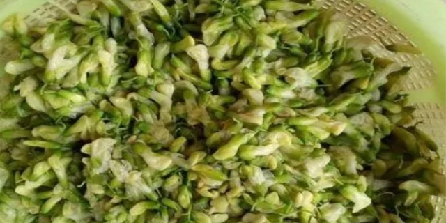 槐花怎样长期保鲜