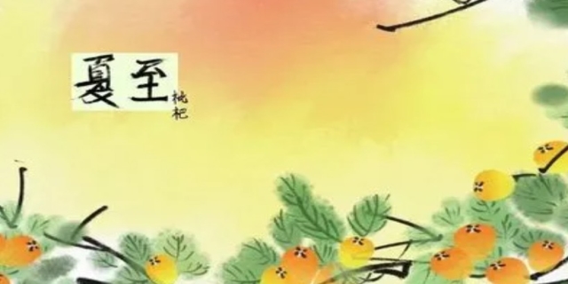 秋处露秋指的是哪四个节气