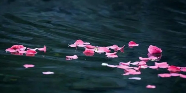 落花有意流水无情什么意思