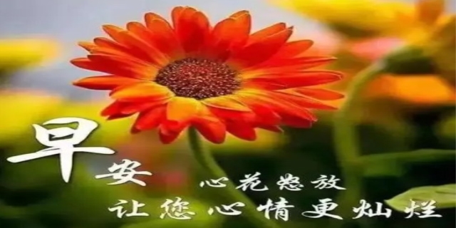 配花的简短文字
