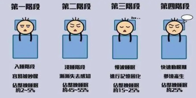 睡眠1234哪个适合晚上睡觉